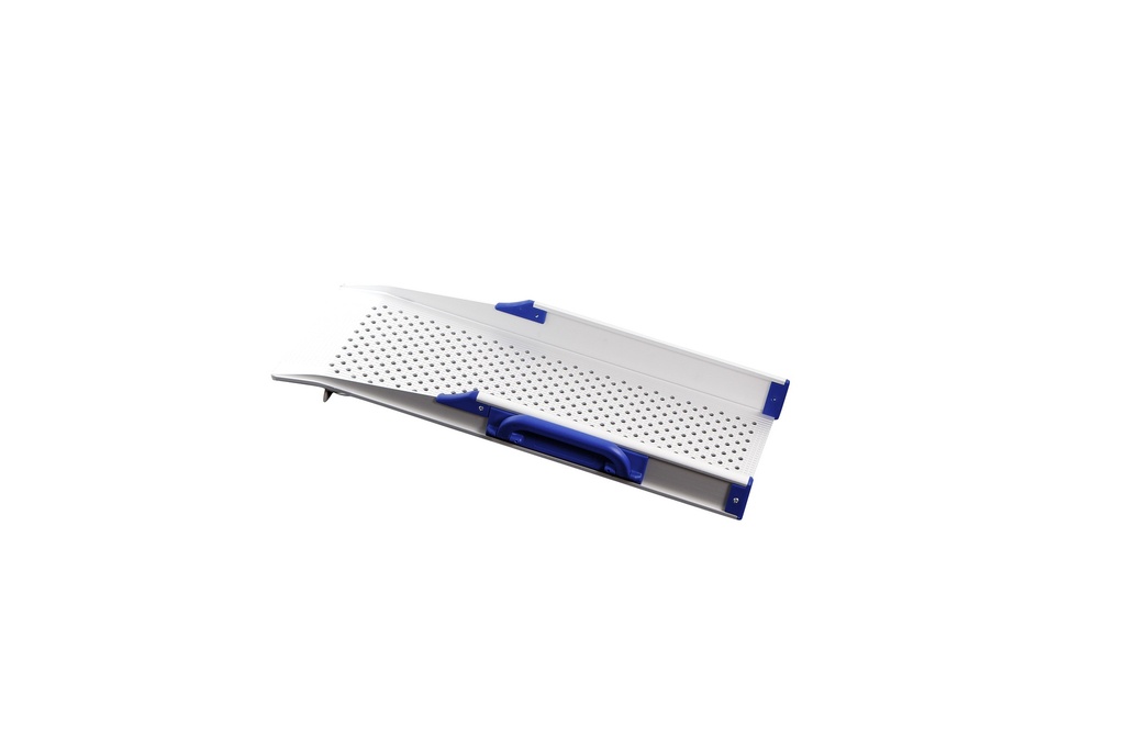 Rampe un élément pour hauteur 10cm - X050 - longueur 55cm - largeur 21cm - pair