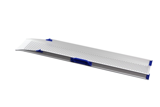 [11070] Rampa un elemento per altezza 20cm - X100 lunghezza 116cm - larghezza 21cm - coppia
