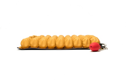 [ESSL22119-1] Cuscino del sedile StarLock - 53x49x5cm           