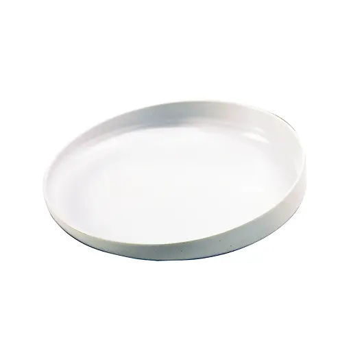 [8040 4005] Assiette à bord relevé TASTY - en bas bord en caoutchouc